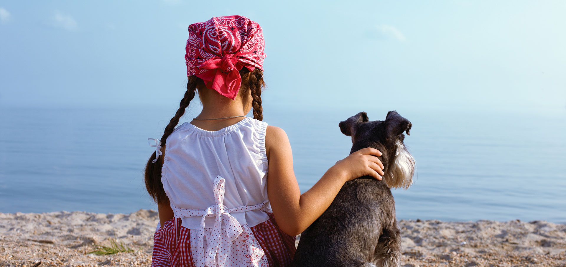 hund-på-bord
